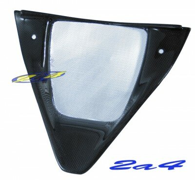 Protection Radiateur Avant Carbone F4/F1000/312