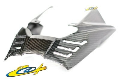 Cache Arri�re Carbone Daytona 675 06/10